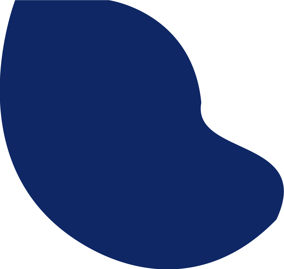 شركة نورة لتقنية المعلومات